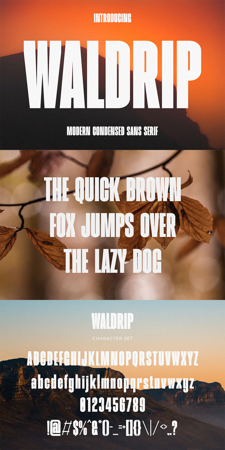 Waldrip Modern Condensed Sans