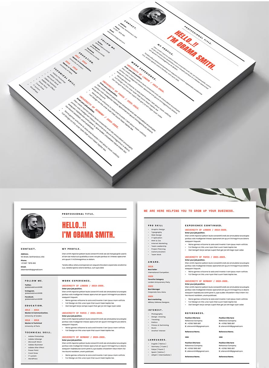 Perfect Resume CV Template