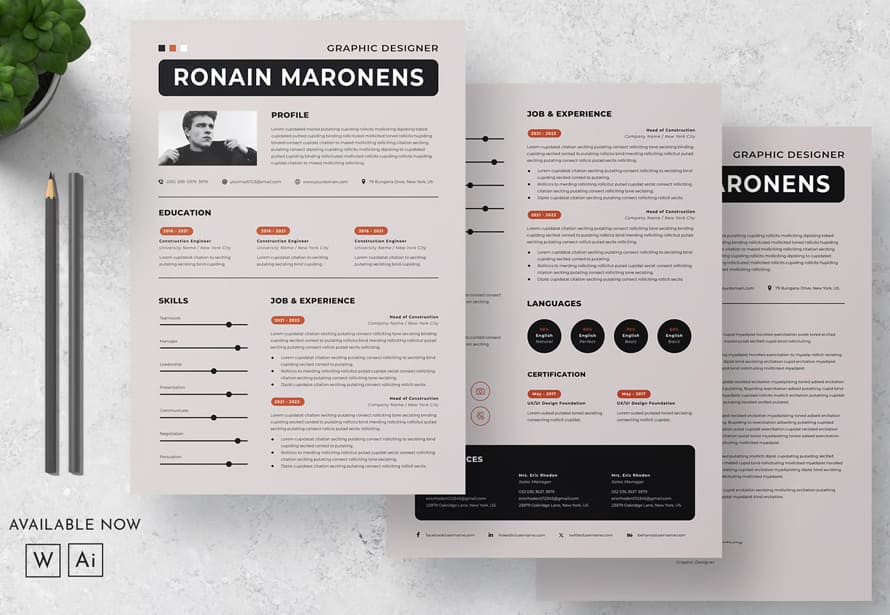 Professional Resume CV