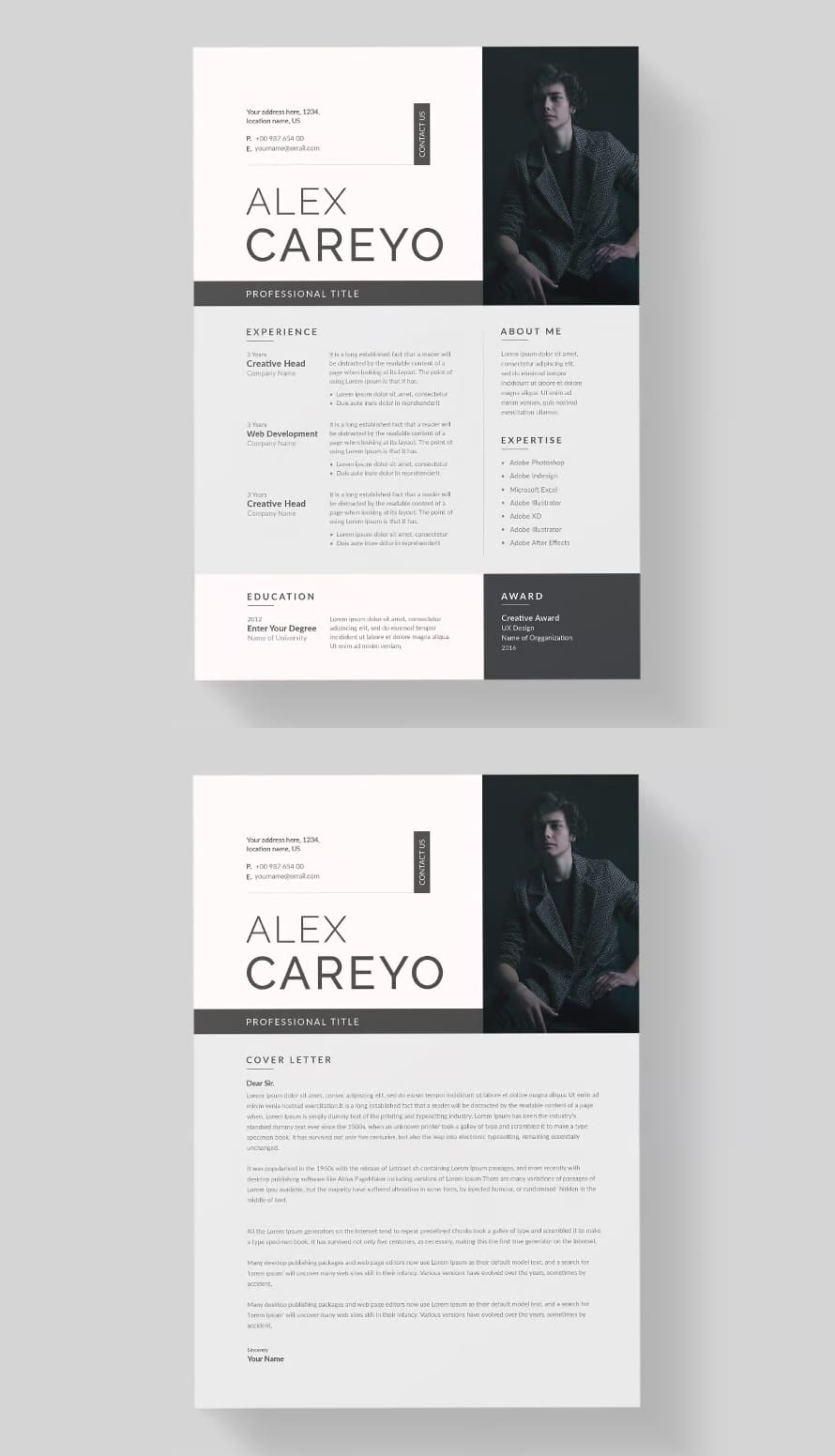 Clean Resume CV