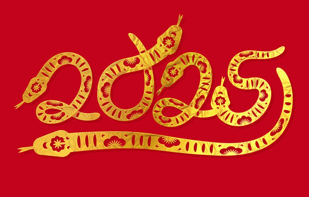 year of the snake text effect