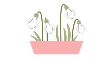 how to put together all the snowdrops into potted flowers