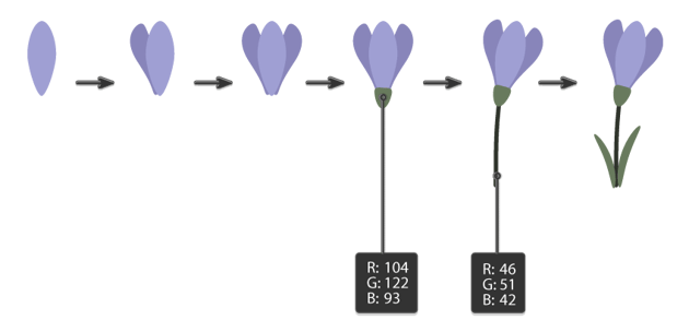 how to create the whole crocus flower