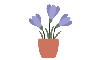 how to create crocus potted flowers