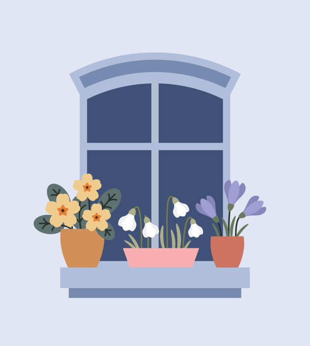 placing crocus potted flowers on the window sill