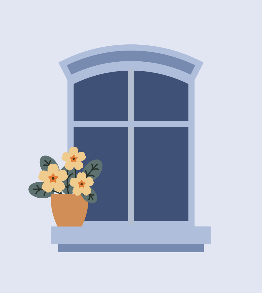 placing the primrose on the window sill