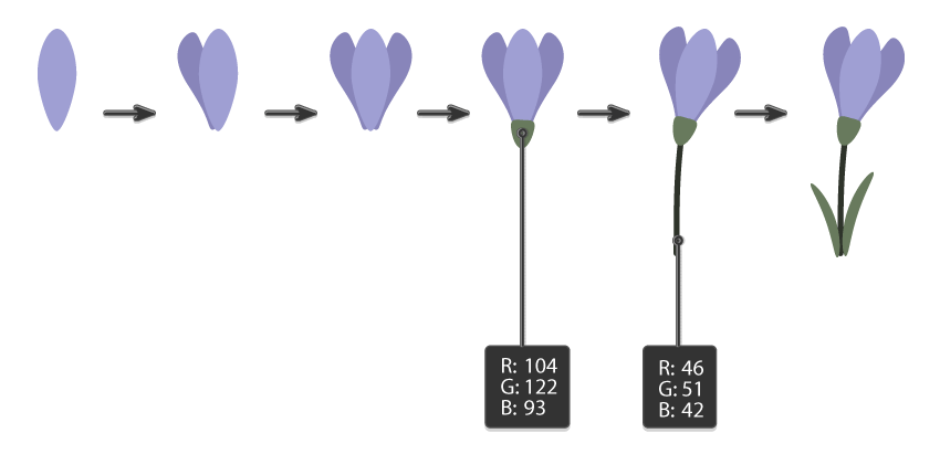 how to create the whole crocus flower