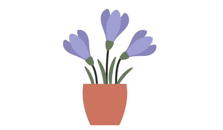 how to create crocus potted flowers