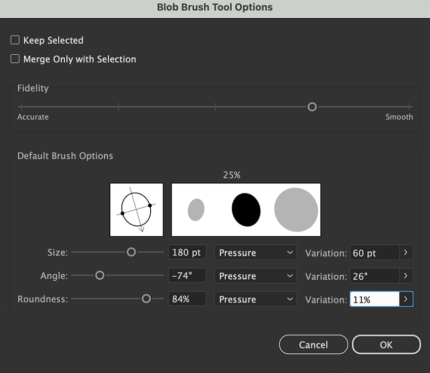 Set Blob Brush angle, roundness and size in Blob Brush Tool Options dialog box