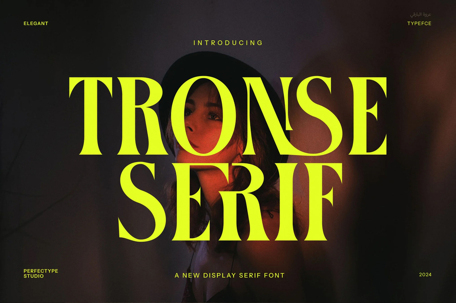 Tronse Elegant Serif Font