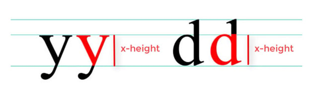 Letter anatomy: X-height.