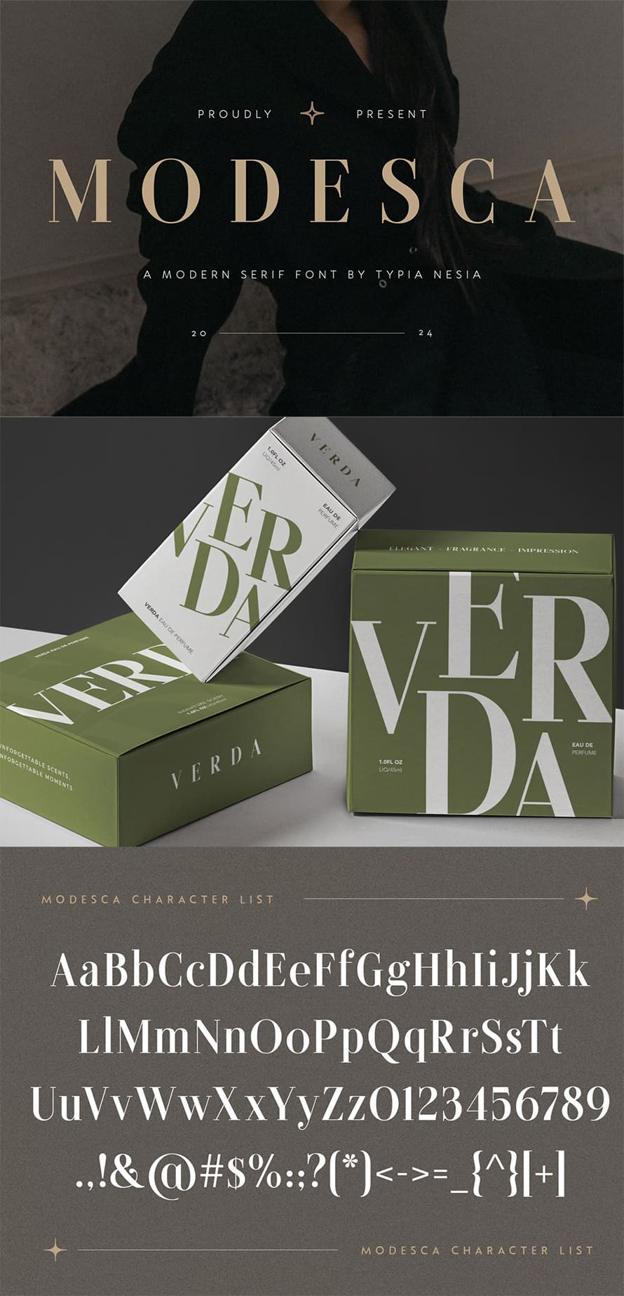 Modern Luxury Serif Font