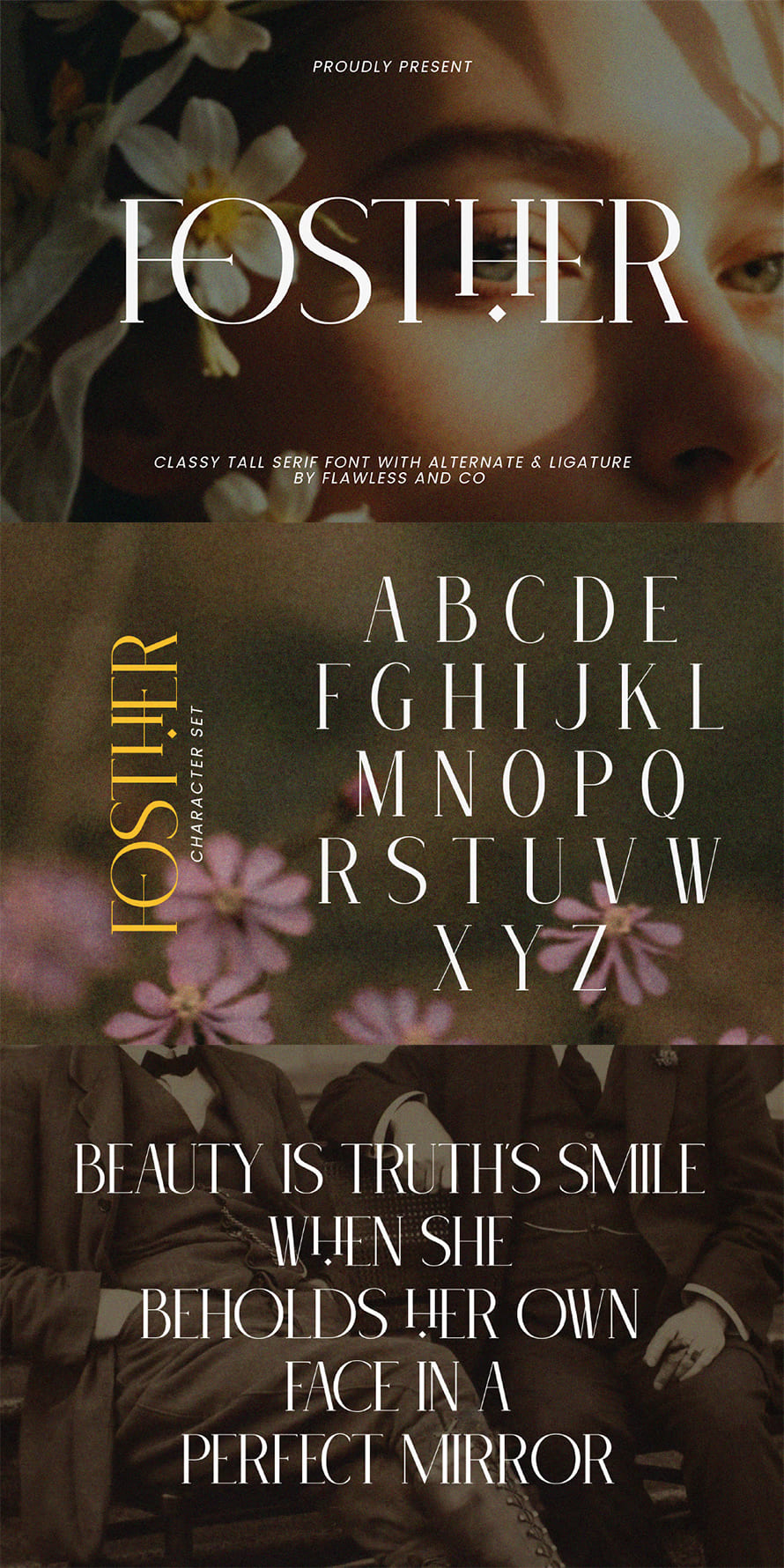 Modern Elegant Serif Font