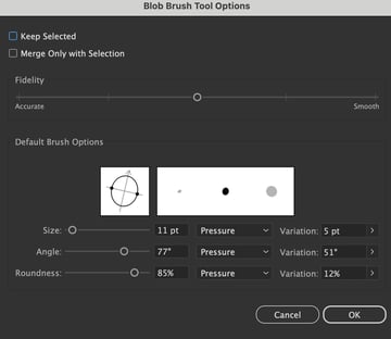 set blob brush options and set rotation settings