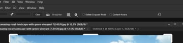 Unchecked Delete Cropped Pixels