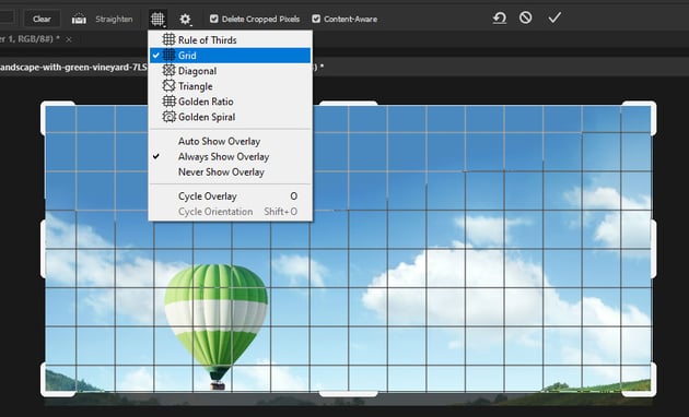 Different Grid Types