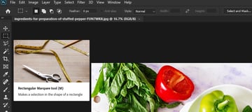 Selecting the Marquee Tool