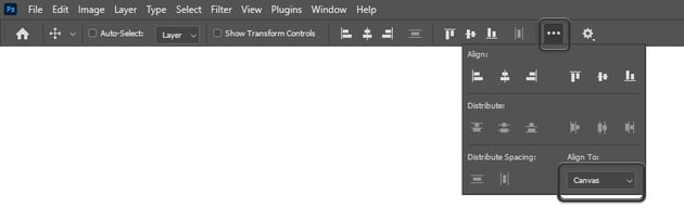set align to canvas