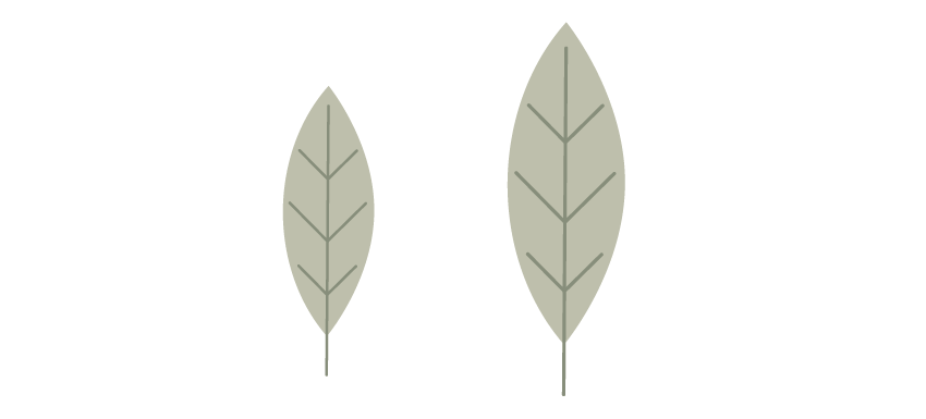 how to create the leaves different sizes