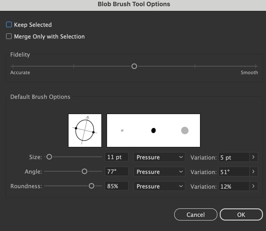 set blob brush options and set rotation settings
