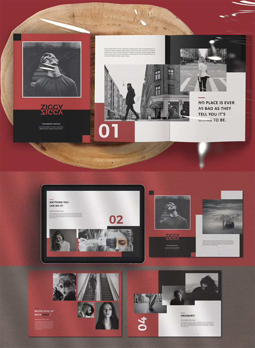 Ziggy Photography Template
