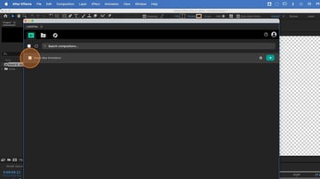 opening the Lottie exporter
