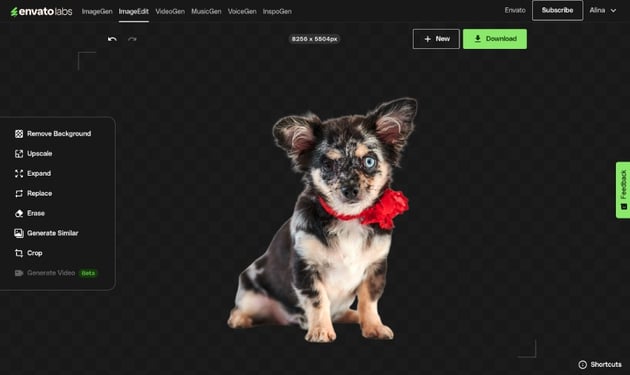 Using Envato's AI tools to remove background from a photo