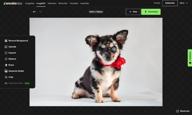 Use Envato's AI tools to upscale a photo
