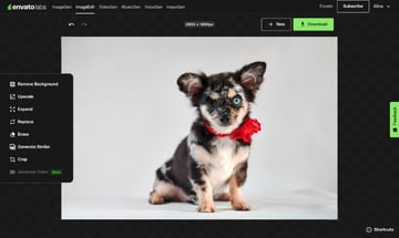 Use Envato's AI tools to upscale a photo