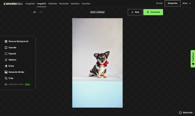Use Envato's AI tools to expand the image