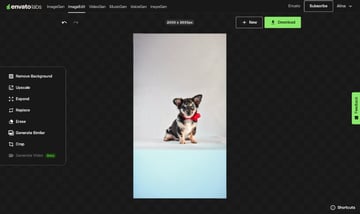 Use Envato's AI tools to expand the image