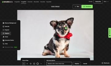 Use Envato's AI tools to replace objects in a photo