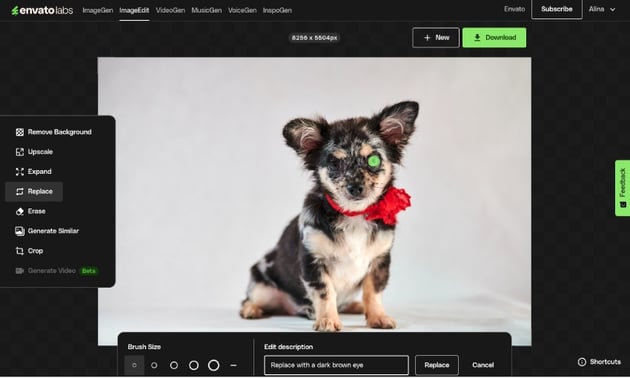Use Envato's AI tools to replace objects in a photo