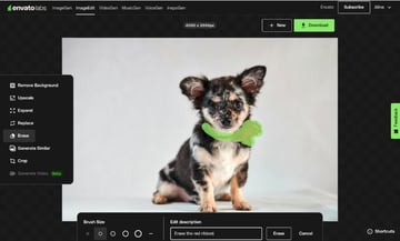 Remove object from a photo using AI tools