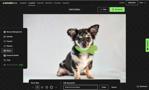 Remove object from a photo using AI tools