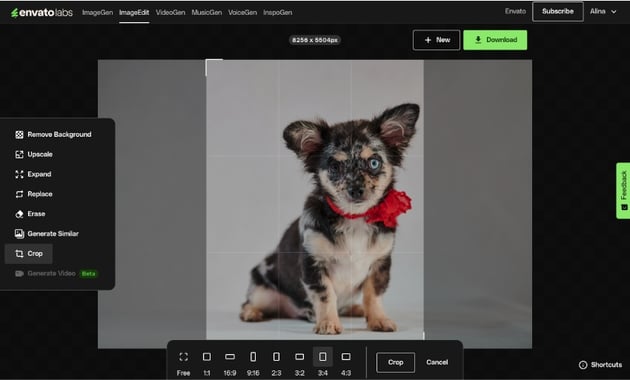 How to crop a photo using AI tools