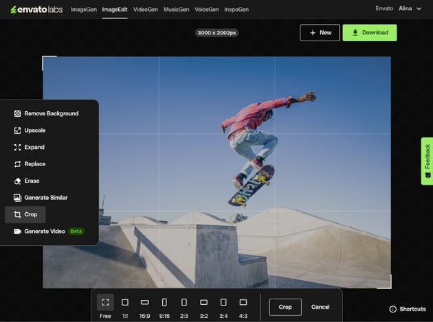 Using the Crop tool from Envato ImageEdit
