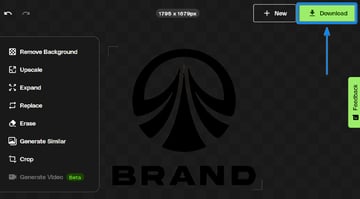 Download the logo