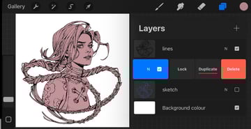 duplicating the layer