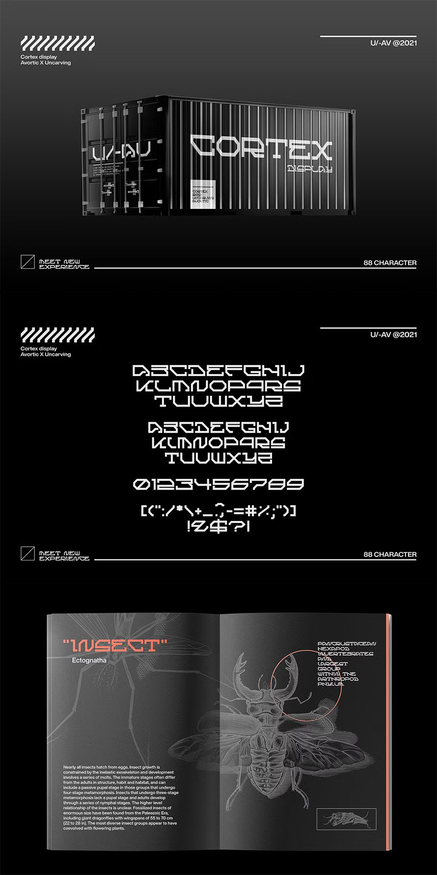 Cortex Display Font