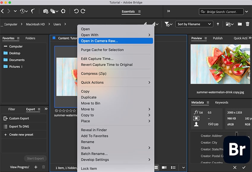 Browse Adobe Bridge to locate and open JPG to open in Camera Raw