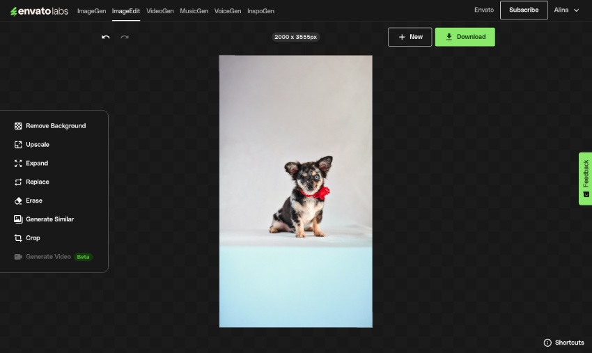 Use Envato's AI tools to expand the image