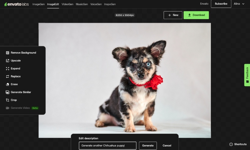 Using AI tools to generate similar images