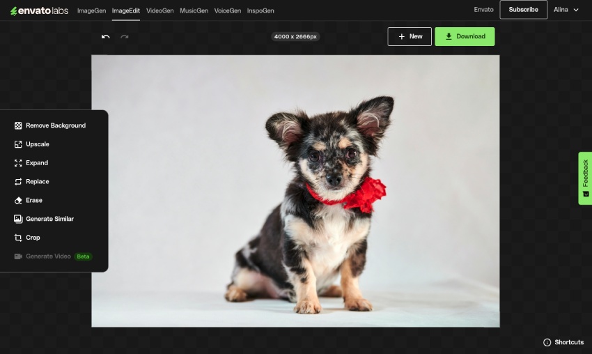 Change eye color using Envato AI tools with the replace tool