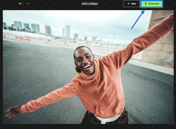 click on the green download button