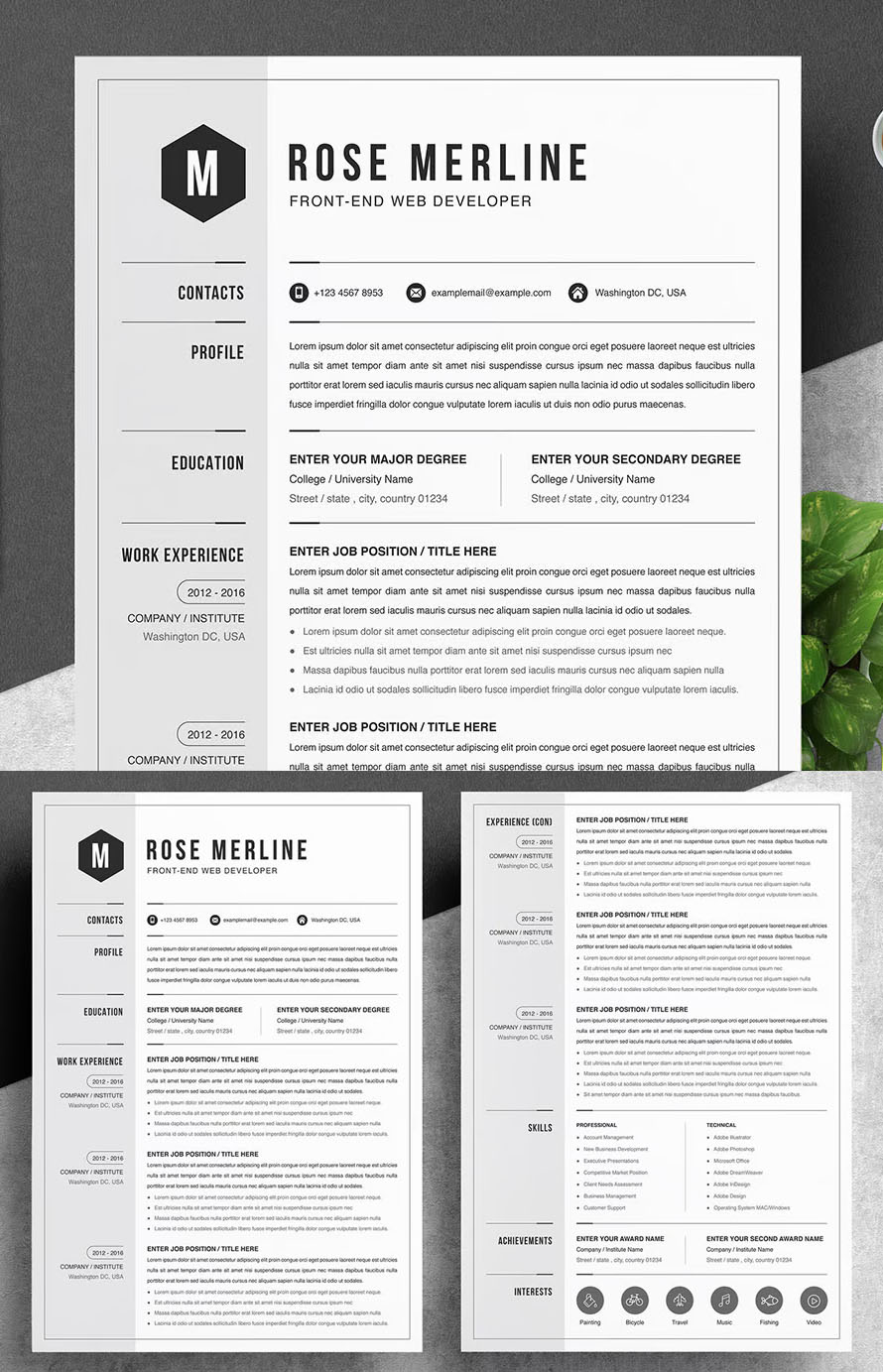 Best Creative Resume Template