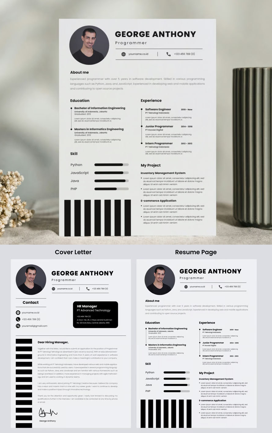 Resume Programmer