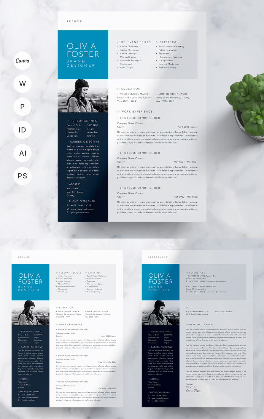 Attractive Best Resume Design