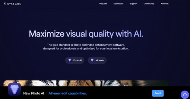Topaz Labs homepage thumbnail: Expert in AI frame interpolation software.