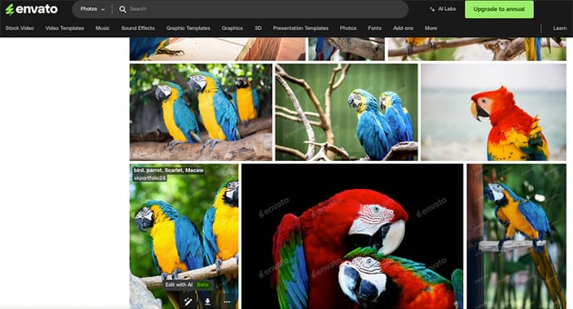Edit with AI option with Envato